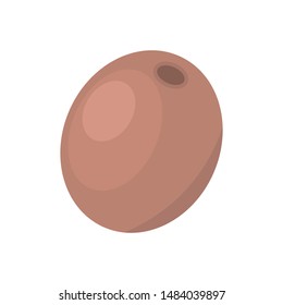 kiwi - fruit icon vector design template