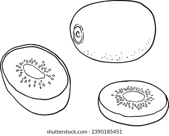 Kiwi fruit illustration clip art cartoon. Line vector set