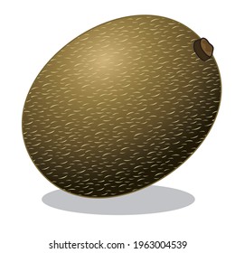 vector aislado de la ilustración de la fruta de kiwi