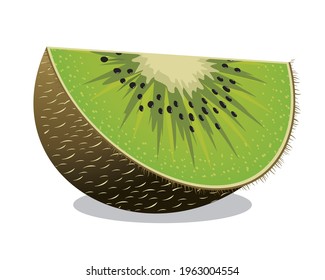 kiwi fruit illustration isolated vector