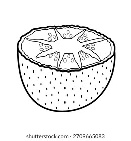 Elemento aislado de la fruta del kiwi en contorno. Doodle comida saludable en blanco y negro para colorear. Ideal para impresiones, ingredientes de la receta. Ilustración vectorial