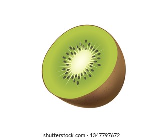 Kiwi. Kiwi fruit isolated on white background. EPS 10, top view