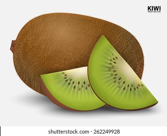 Kiwi fruit isolated on white background. vector