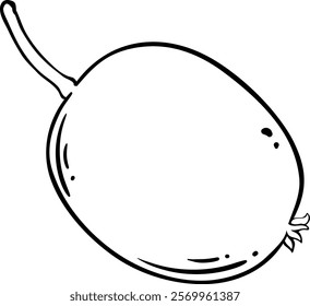 kiwi fruit isolated outline illustration