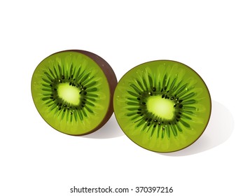 Kiwi fruit isolated in vector. Tropical freshness vitamin 