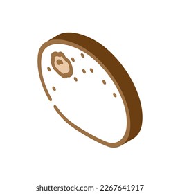 kiwi fruit isometric icon vector. kiwi fruit sign. isolated symbol illustration