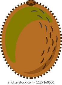 Kiwi fruit or kiwifruit vector in flat design style isolated