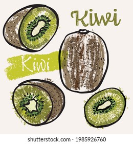 Kiwi fruit line art and color hand-drawn vector illustration. Rough crayon strokes doodle in an expressive loose coloring book style