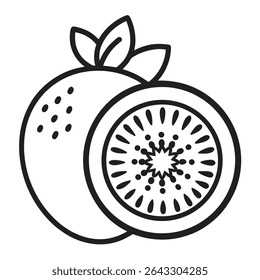 kiwi fruit line art vector  