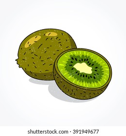 Kiwi fruit on a white background. Vector illustration.
