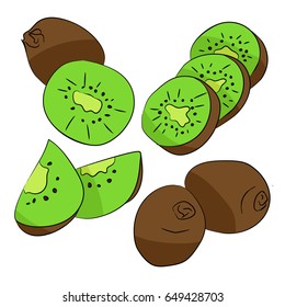 Kiwi fruit on white background