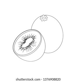 Kiwi Fruit Outline