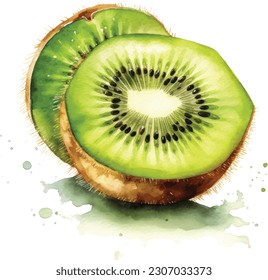 Kiwi fruit painting.Painted with watercolor.  Kiwi painted with watercolor on white background