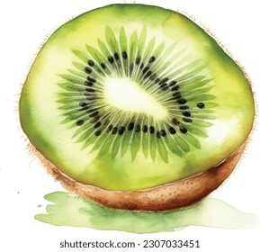 Kiwi fruit painting.Painted with watercolor.  Kiwi painted with watercolor on white background