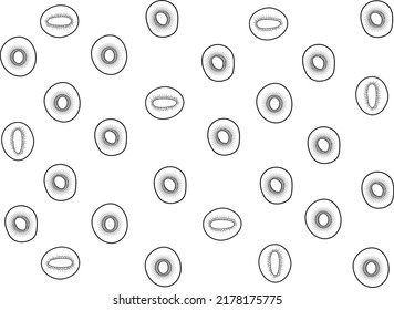 Kiwi fruit pieces vector doodle pattern for web and print.