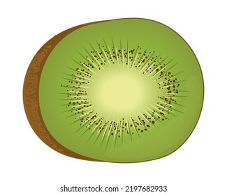 Kiwi-Frucht-realistisches isoliertes Symbol