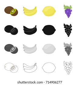 Kiwi fruit, ripe banana, sour lemon, a bunch of grapes. Fruits set collection icons in cartoon black monochrome outline style vector symbol stock illustration web.