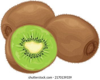 Kiwi fruit. Ripe kiwi. Image of a ripe kiwi fruit. Vitamin fruit. Organic vegetarian products. Vector illustration isolated on a white background