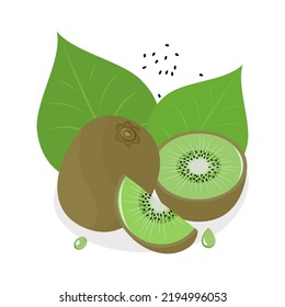 Kiwi fruit set. Flat style. Vector illustration 