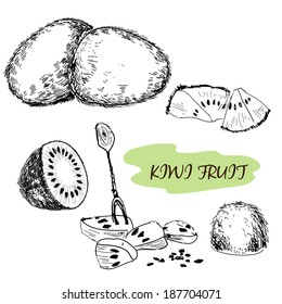 Kiwi fruit. Set of hand drawn illustration