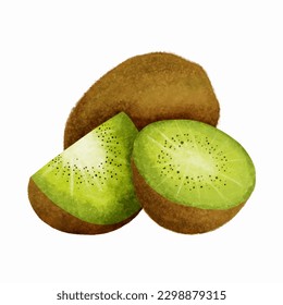 Kiwi fruit set. Hand drawn watercolor illustration isolated on white background.