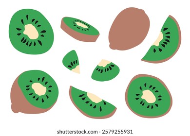 Kiwi fruit set. Whole, half and slices. Vector hand drawn drawing illustration isolated on white background.