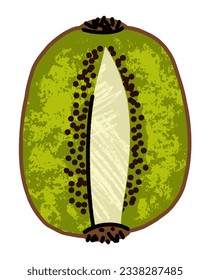 kiwi fruit, simple illustration in abstract flat sketch drawing style, healthy food