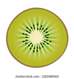 Kiwi Fruit Slice Vector Illustration Logo Icon Clipart Isolated On White Background