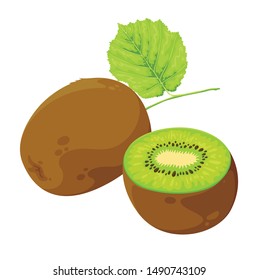 Kiwi Fruit Sliced With A Leaf Vector Illustration