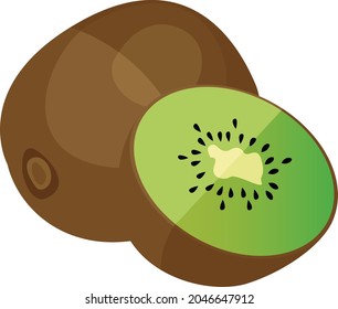 rodajas de frutos de kiwi a la mitad, ilustración aislada