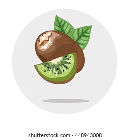 Kiwi fruit stock vector illustration