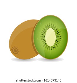 Kiwi Fruit Summer Fruit Illustration Vector