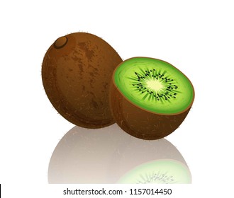 kiwi fruit vector 