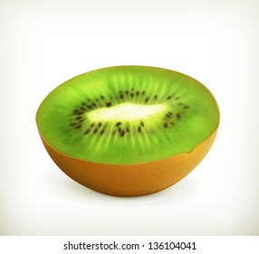 Kiwi fruit vector