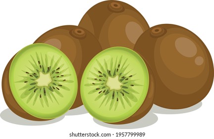 Kiwi fruit vector art and illustration