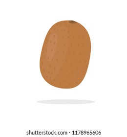 kiwi fruit vector illustration