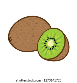 Kiwi Fruit vector Illustration