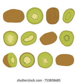 Kiwi Fruit Vector illustration art for graphic design