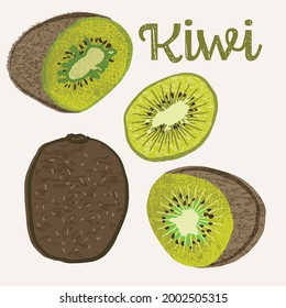 Kiwi fruit vector illustration. Colorful textured modern vector design.