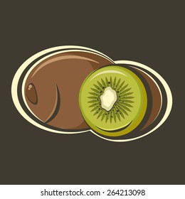 Kiwi fruit vector illustration. Nice fresh sliced kiwi.