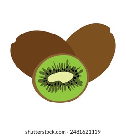 Kiwi Fruit Vector Illustration on white background