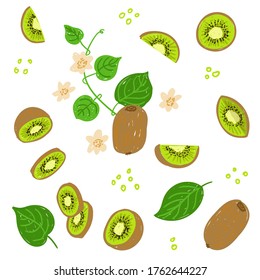 Kiwi fruit vector illustration set. Kiwifruit template collection for design. Whole kiwi, sliced, cut, flowers, leaves, vine