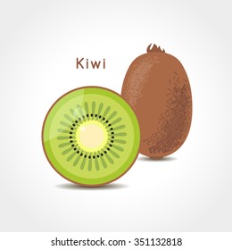 Kiwi fruit vector illustration. Sliced juice kiwi on the white background.