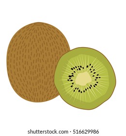 Kiwi fruit vector illustration. Sliced juice kiwi on the white background