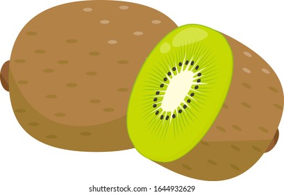 kiwi fruit vector illustration , Tropical fruit
