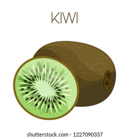Kiwi fruit. Vector image on isolated background