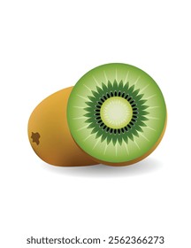 Kiwi fruit vector on white isolated