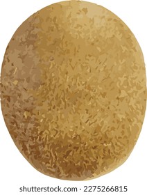 Kiwi Frucht Vektorgrafik-Rohdatei