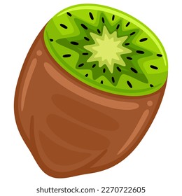 kiwi fruit in vector style illustration