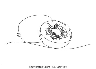 Kiwi fruit whole   half in continuous line art drawing style  Black line sketch white background  Vector illustration